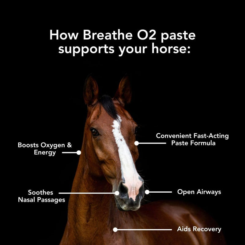 MVP Breathe O'2 Paste (2 doses) Pre-Race Paste to Support Lung/Airway Function & Recovery in Horses