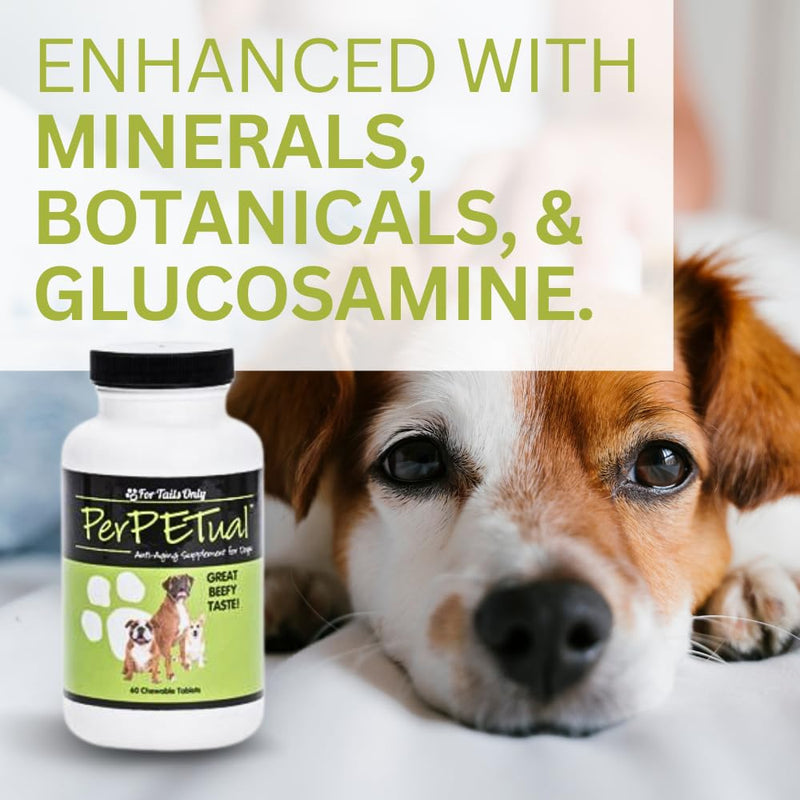 Youngevity Perpetual™ - Maximum Strength Anti-Aging Dog Bone & Joint Support - with Glucosamine, Choline, MSM, Milk Thistle, Calcium, Turmeric & More - 60 Chewable Tablets - PawsPlanet Australia