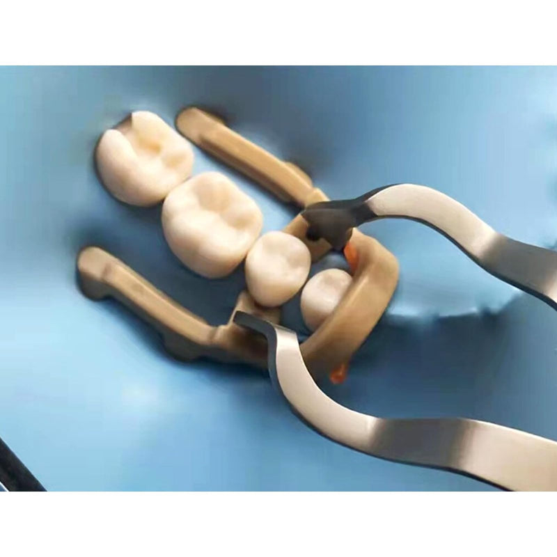 4 Pcs Dental Resin Rubber Dam Clamps Clip, Dental Resin Rubber Dam Clamps, Dam Soft Clamps Premolar Rubber Barrier Clip Resin Material.-4pcs 4pcs