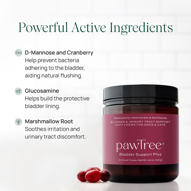 pawTree Bladder Support Plus for Dogs and Cats - Bladder & Urinary Tract Wellness Supplement - with D-Mannose, Cranberry, Glucosamine and Marshmallow Root to Support Bladder Health (Large) Large