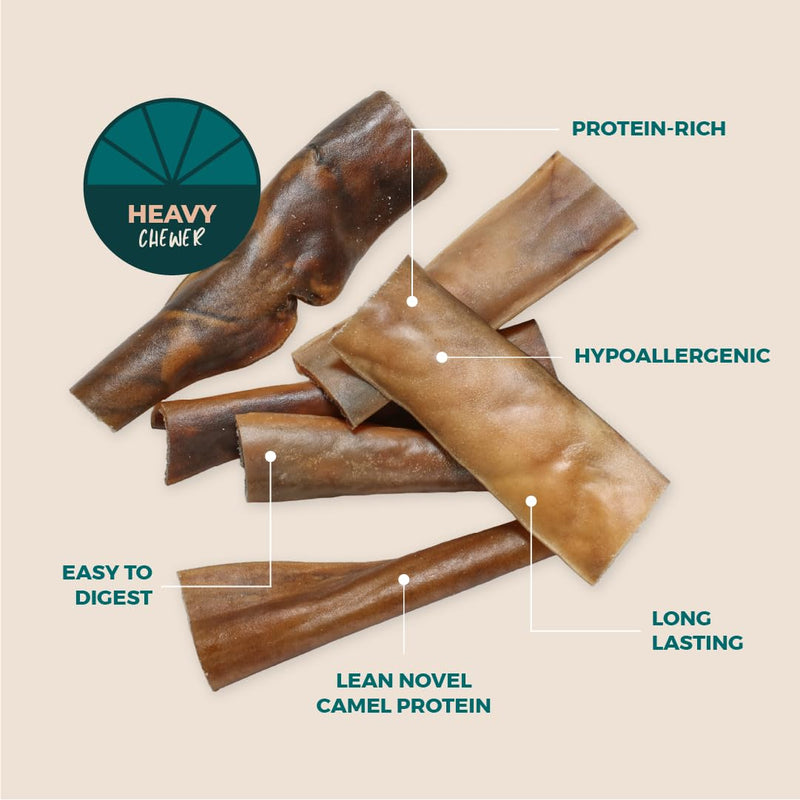 Camel Skin Dog Chews for Aggressive Chewers, Long Lasting Camel Sticks for Dogs, Natural Dog Treats, High Protein Collagen Sticks, Dental Chews for Medium & Large Dogs, Dog Training Treats, 25 Pack
