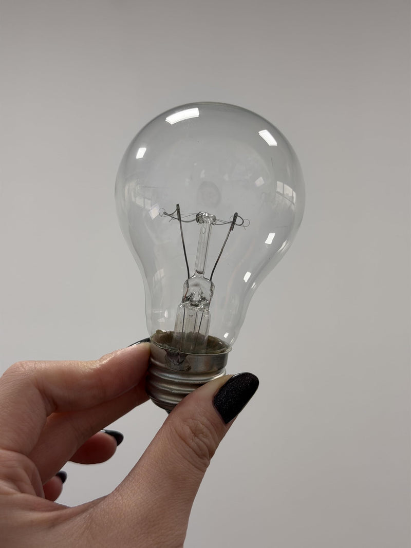75W A19 Incandescent Light Bulbs E26 Rough Service Clear 6 Pack | Reinforced filament for ceiling fans & vibration fixtures. 2700K warm white, CRI 100, clear glass, flicker-free dimmable
