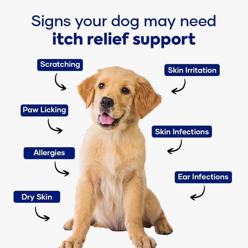 Dog Allergy & Itch Relief Combo | ImmunoFlo Immune Support Chews + Itch Relief Bites with Salmon Flavor | Daily Skin Comfort & Immunity Support