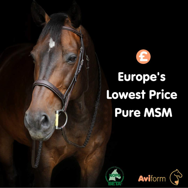 Aviform MSM Equine Joint Supplement for Horses - Highest Purity for Excellent Joint Maintenance, Healthy Growth of The Hoof, Tendons, Soft Tissue, Muscles and Ligaments - 2kg Compostable Pouch - PawsPlanet Australia