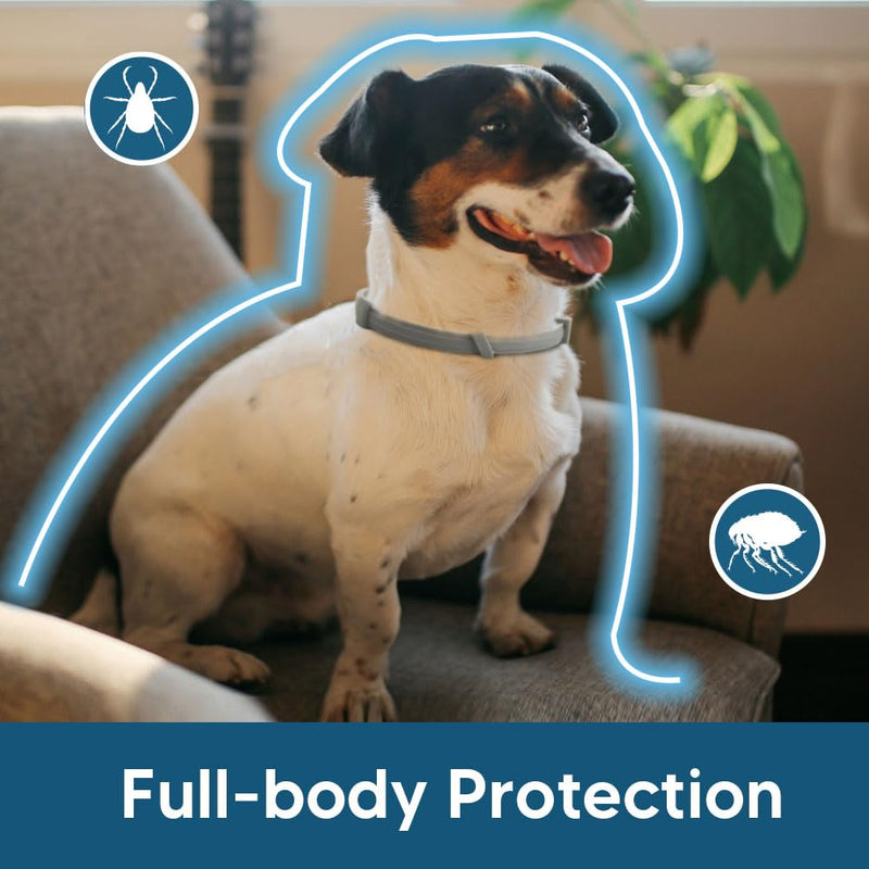 Flea and Tick Collar for Small Dogs, Flea Collar for Dogs, Tick Collar for Small Dogs, Dog Tick Collar, Dog Flea Collars, Soft & Adjustable, 8 Months Protection, Easy to Use-2P 1.2 Ounce (Pack of 2)