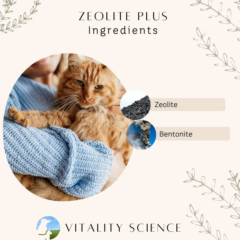 Vitality Science Zeolite Plus for Dogs | Immune Support | Balances pH | Supports Energy Processes (450gms) 450gms
