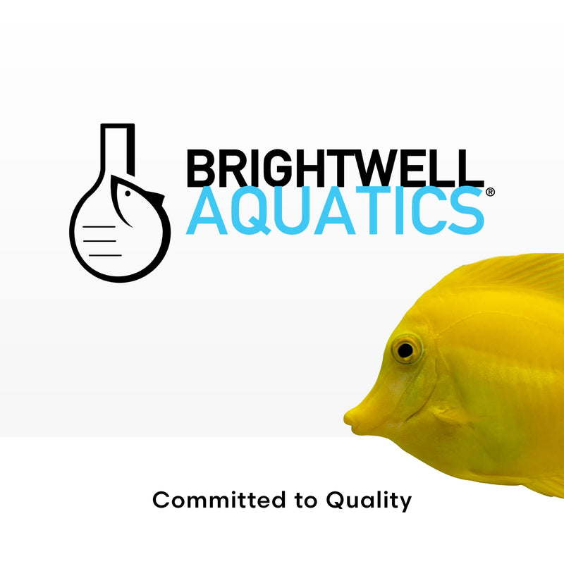 Brightwell Aquatics MicroBacter Start XLM - Concentrated Freshwater Nitrifying Bacteria - Quick Start Fish Tank Starter, Lift Microbe Levels & Water Filtering - Aquarium Water Treatments, 4.22 fl oz 125-ML