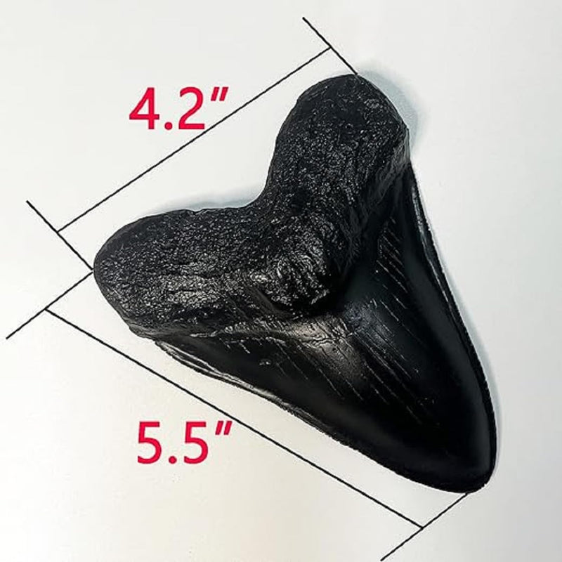 Megalodon Giant Shark Tooth Replica - Museum Quality Fossil Cast (Black) Black