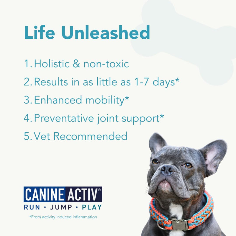 Dog Joint Pain Relief Activity-Induced Capsules, Dog Joint Supplement Small Breed, Hip and Joint Supplement for Dogs, Dog Joint Pills for Fast Relief from Activity-Induced Pain - 90 Ct - PawsPlanet Australia