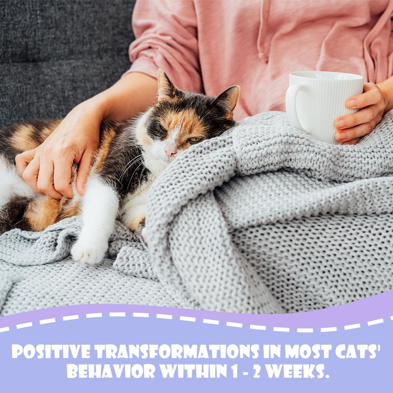 AOMIG Cat Calming Spray, Cat Pheromones Calming Spray, Reduce Stress Anxiety Scratching Fighting Peeing Urine Marking Furniture, Cats Calm Pheromone Solution for Home Travel Vet Visits, 60ml