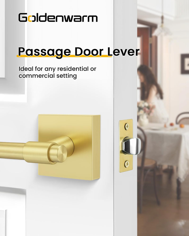 Goldenwarm Gold Closet Door Handles, Zinc Alloy Brushed Gold Door Handles Interior for Closet, Hallways, Heavy Duty Passage Door Handle, Reversible Lever Door Handle 1 Pack