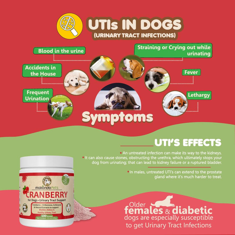Dog Cranberry Supplement - Natural Dog UTI Treatment & Kidney Support for Dogs. Dog Supplement Powder Same as Cranberry Pills for Dogs. Puppy Supplies for Dog Pee Health - Dog Incontinence Product 100 Serves - PawsPlanet Australia
