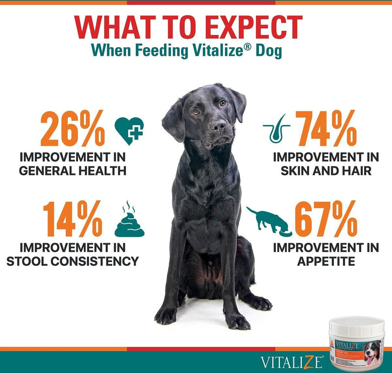 Vitalize Dog Digestive Health Powder - Relief for Constipation, Vomiting & Nausea, Skin & Coat Supplement- Multivitamin Powder with Omega 6, 3 & Biotin & Dog Prenatal Supplement (1 Pound) - PawsPlanet Australia