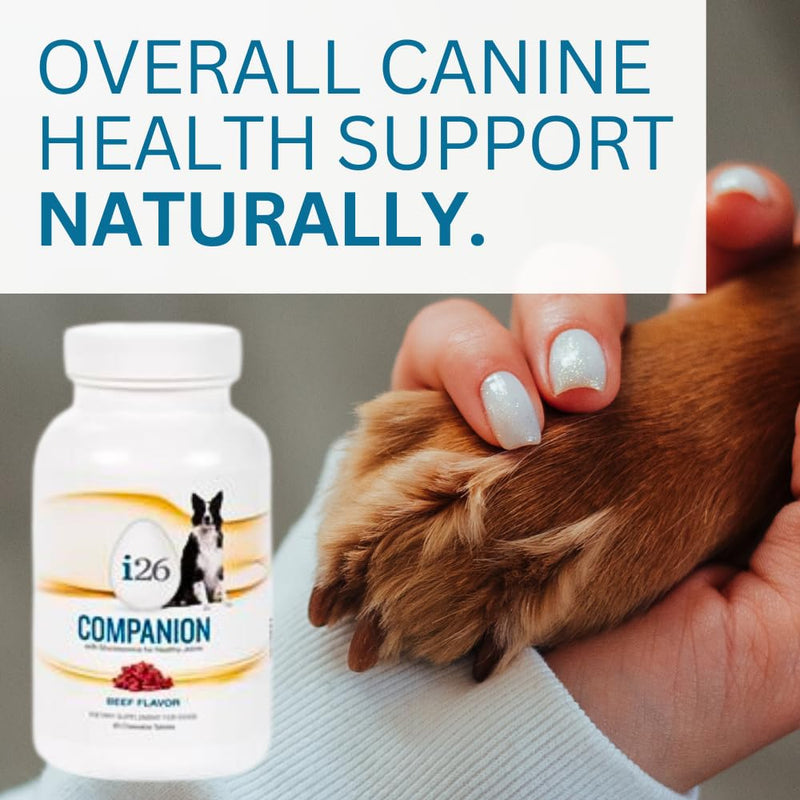 Chewable Dog Nutrition Companion i26 Puppies to Adults - 60 Beef Tabs - PawsPlanet Australia