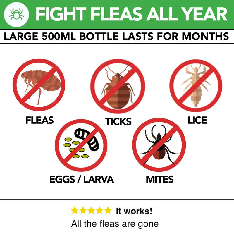 All Natural HouseHold Flea Spray | Flea Fighter | 500ml | Safe For Dogs, Children, Pets | Repellent & Flea Killing Spray | For Dog & Cat Fleas Ticks Lice & Insect | Use on Carpet, Bed, Furniture, Car - PawsPlanet Australia