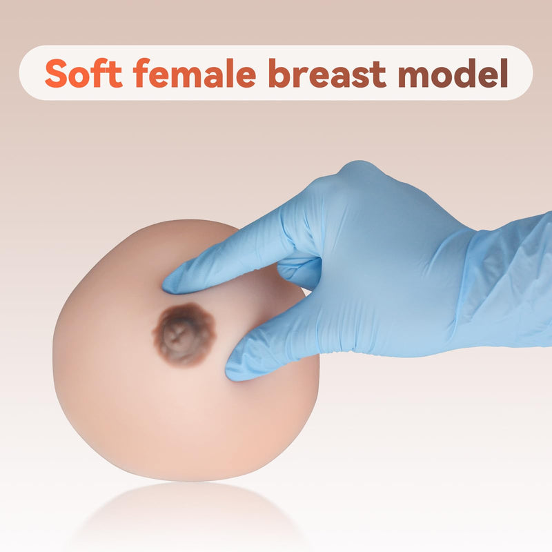 SimCoach Lactation Breast Model, Artificial Breast for Breastfeeding, Silicone Breast Model for Education, Lactating Teaching Tool, Nursing Training, White