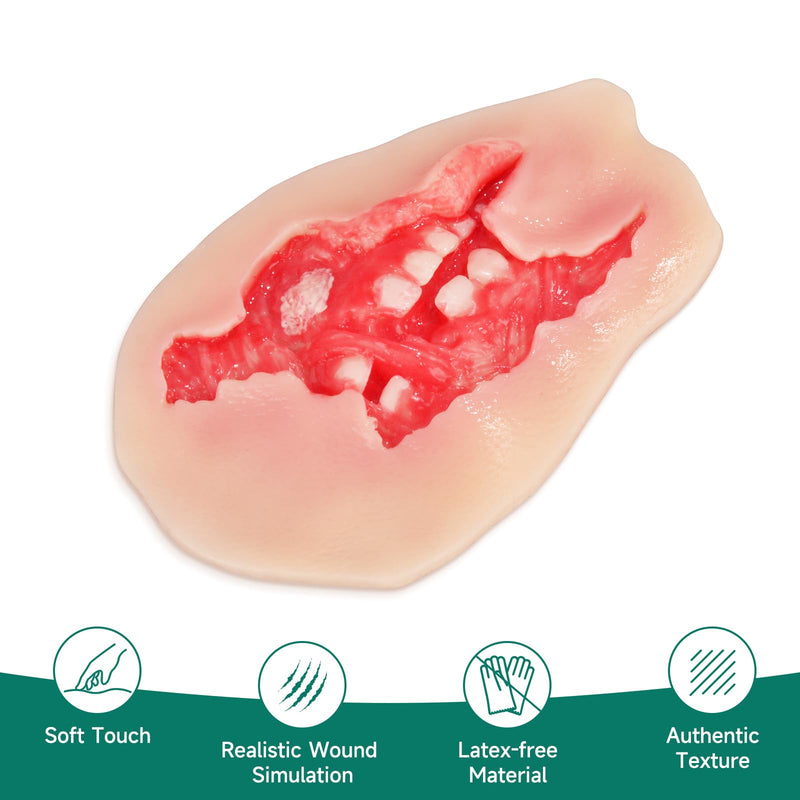 Adhesive Maxillofacial Wound Care Trainer, Exposed Denture Avulsion Simulator, Oral Trauma Simulation, Oral Injury Wound Model for Emergency Care Training