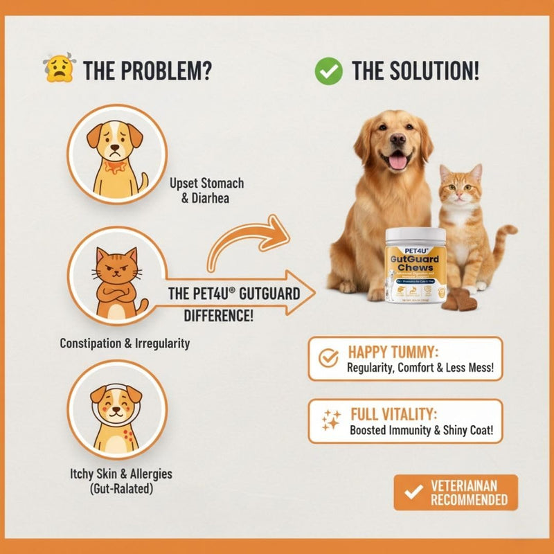 PET4U® Pre (FOS) & Probiotics for Dogs and Cats - Supports Healthy Digestion, Regular Bowel Movements - Anti Diarrhea & Constipation Relief - 120 Heart Chews, Beef Flavor