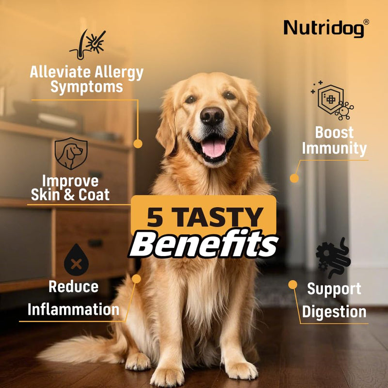 Allergy Chews for Dogs - Dog Itching Skin Relief & Seasonal Allergy Support with Chamomile - Salmon Oil, Quercetin - Probiotic Anti-Itch Supplement for Dogs - Chicken Flavor - 90 Count