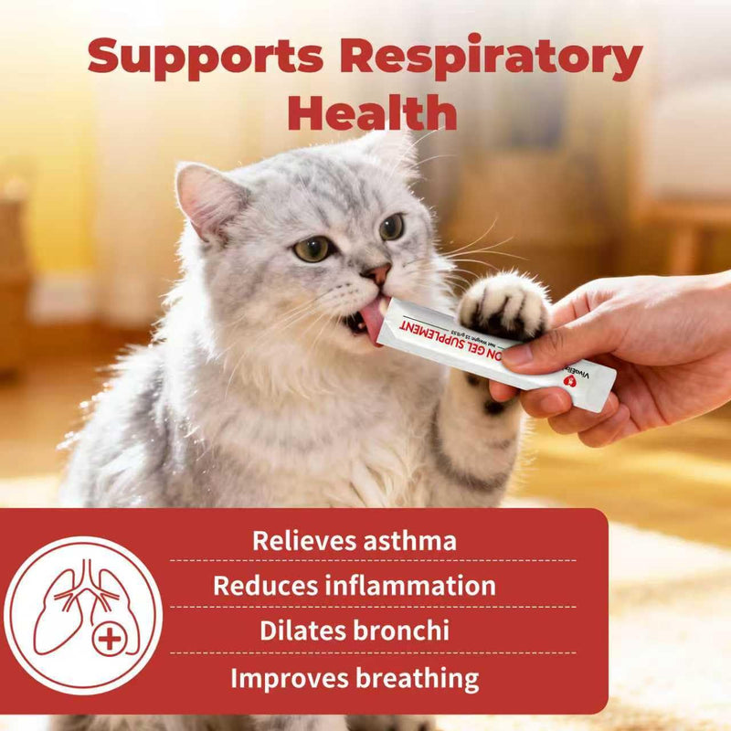 Lysine for Cats, Helps Reduce Sneezing, Coughing, Runny Nose & Upper Respiratory Treatment – Taurine + Echinacea Immune Support – Cat Cold, Asthma & Nose Relief – Respiratory Support Bars