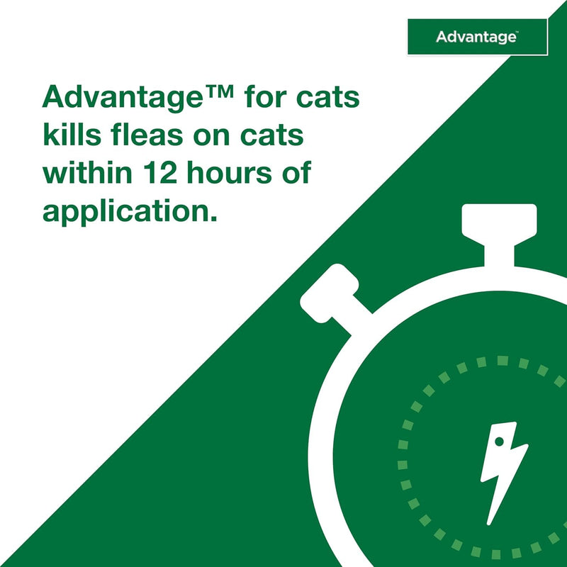 Bundle of Advantage Topical Flea Treatment and Prevention for Large Cats Over 9 lbs. + Advantage Household Flea Fogger for Home | 2 oz. Canisters (Pack of 3) Large Cat + Fogger