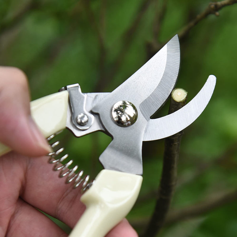 Garden Scissors for Plant, Tip Pruning Shears for Cutting Flowers, Trimming Plants, Bonsai and Fruits Picking (Bypass Blade Pruner) 1 Pc-White