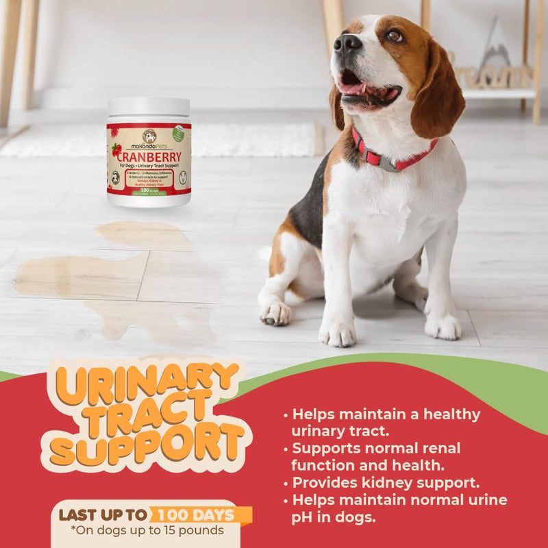 Dog Cranberry Supplement - Natural Dog UTI Treatment & Kidney Support for Dogs. Dog Supplement Powder Same as Cranberry Pills for Dogs. Puppy Supplies for Dog Pee Health - Dog Incontinence Product 100 Serves - PawsPlanet Australia