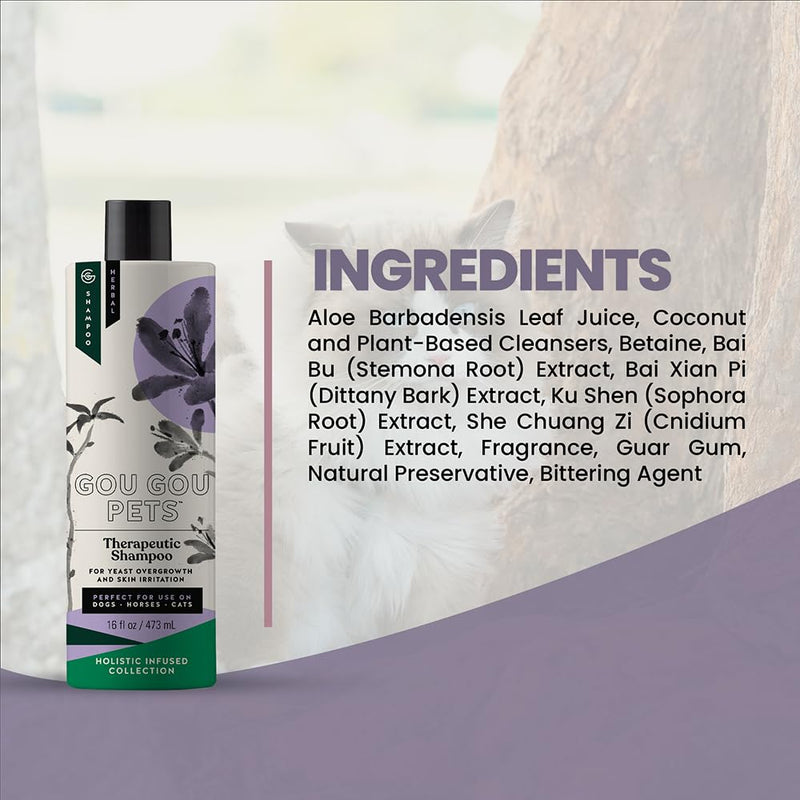 Holistic Natural Anti-Fungal Shampoo for Dogs, Cats & Horses: Veterinarian Recommended: Relieve Itching & Flaking Skin Caused by Fungal Infections & Skin Conditions - Made in USA - 16 oz Anti-Fungal Citrus Fruity - PawsPlanet Australia
