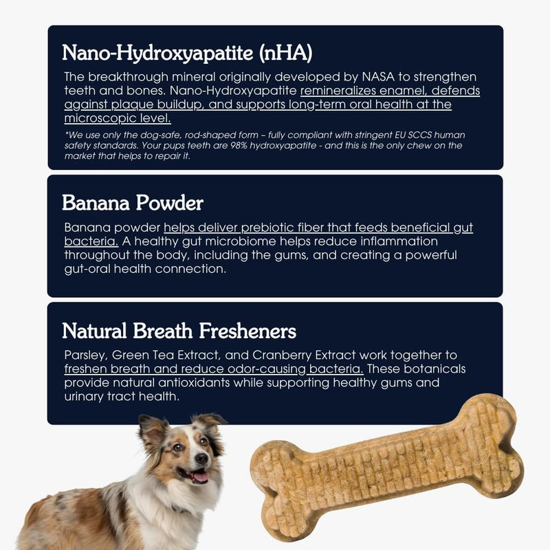 Arterra Pet Science Dog Dental Chews with Nano-Hydroxyapatite Next-Generation Daily Chews for Stronger Teeth, Fresh Breath, and Healthy Gut, for Small Breeds, 14 Count, Pack of 1