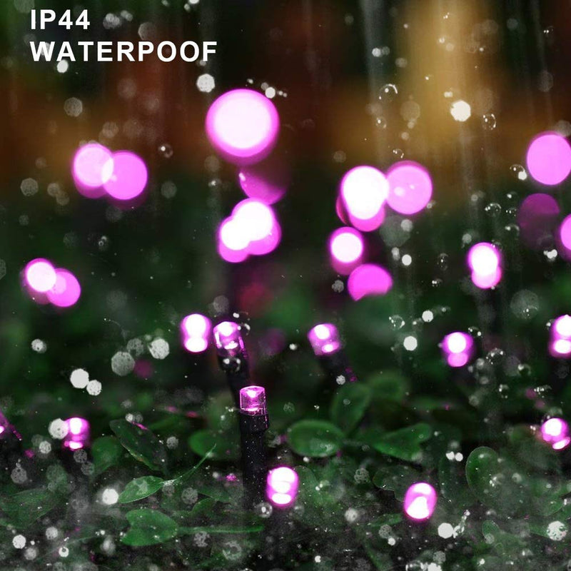 HOME LIGHTING 66ft Halloween Decorative Mini Lights, 200 LED Green Wire Fairy Starry String Lights Plug in, 8 Lighting Modes, for Indoor Outdoor Xmas Tree Wedding Party Decoration (Purple) Purple