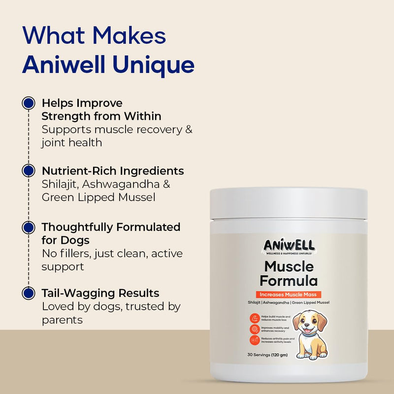 Muscle Formula for Dogs: with Shilajit Ashwagandha and Green Lipped Mussel | Glucosamine Chondroitin Hip and Joint Support | Muscle Strength and Mobility Pack of 1