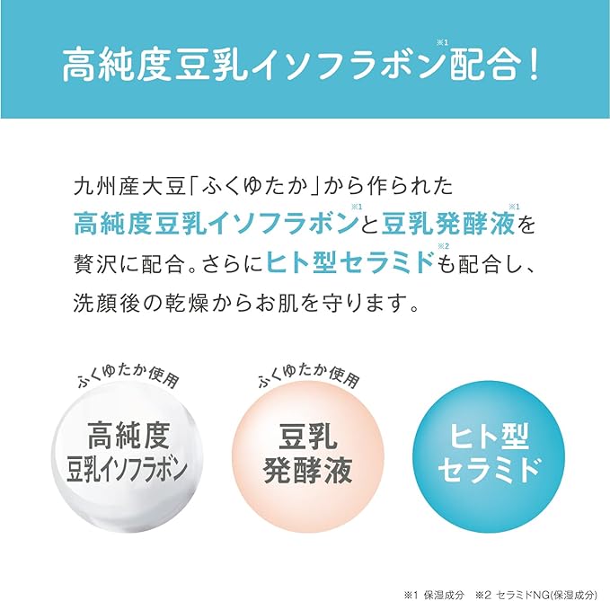 Nameraka Honpo Foam Face Wash NC (Refill) - NewNest Australia