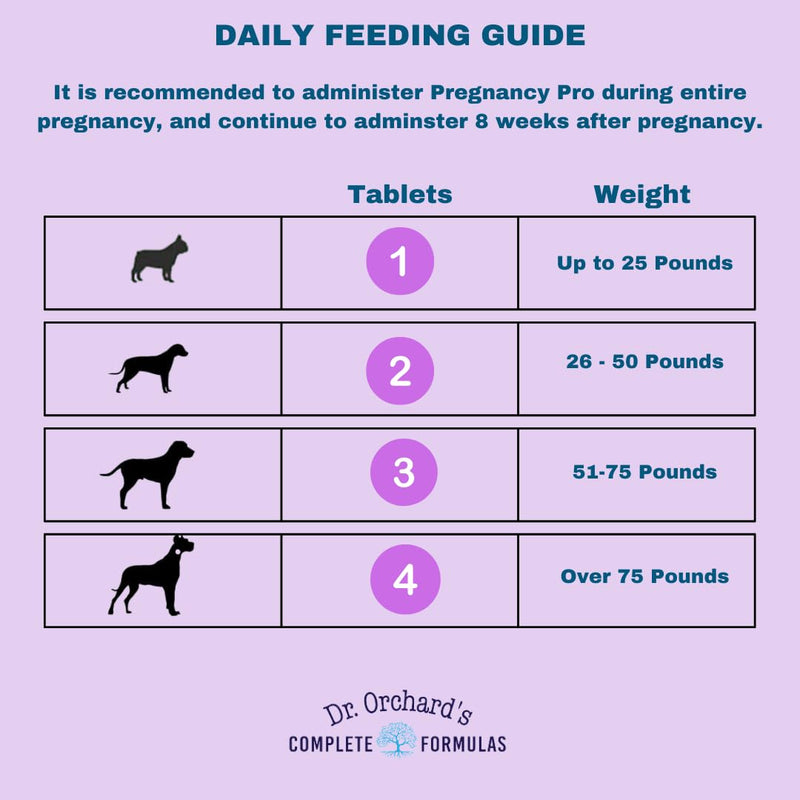 Dr Orchards Pregnancy Pro Dog Prenatal Vitamins - Premium Dog Supplement for Pregnancy, Prenatal + Postnatal, Lactation and Newborn Health Support, 90 Ct - PawsPlanet Australia