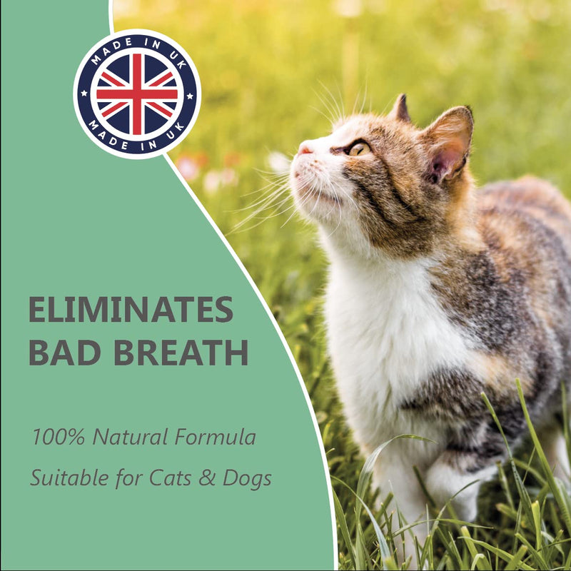 Pets Purest Breath Freshener & Dental Teeth Cleaning Spray - 100% Natural Plaque & Tartar Remover, Mouthwash & Bad Breath Treatment Water Formula for Dogs & Cat - 200ml - PawsPlanet Australia