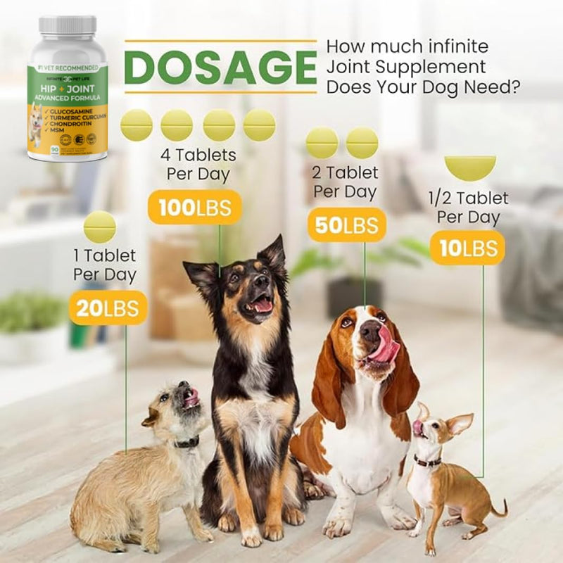 Infinite Pet Supplements Advanced Hip and Joint Supplement for Dogs Large Breed - Glucosamine for Dogs Mobility & Pain Relief - Chondroitin, MSM & Turmeric | Bundle Pack(Chewable Tablets + Powder)