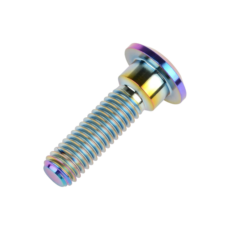 Titanium Ti Motorcycle Brake Rotor Hexagon Socket Bolt Screw M8 x 30 33mm for Kawasaki Pack of 6 (Rainbow, M8x30mm) Rainbow
