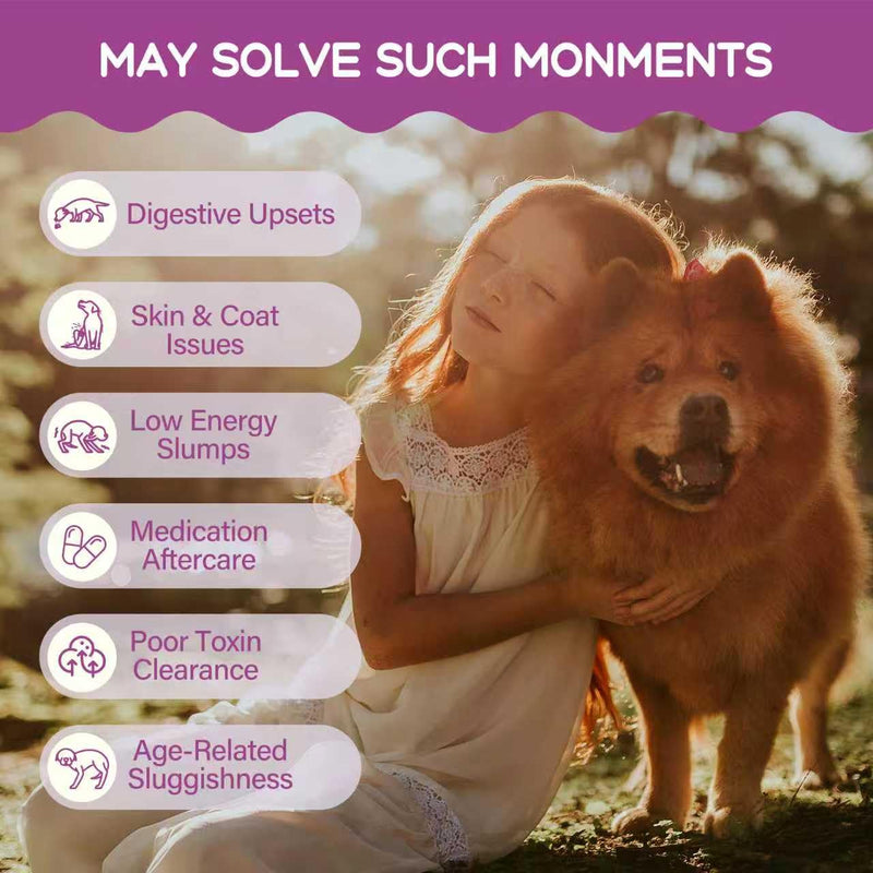 Milk Thistle for Dogs & Cats Supports Liver Health, Pet Milk Thistle Extract Drops Aids in Detoxification & Boosts Immunity W/Artichoke Turmeric Kudzu Root Echinacea Extract. 2 oz