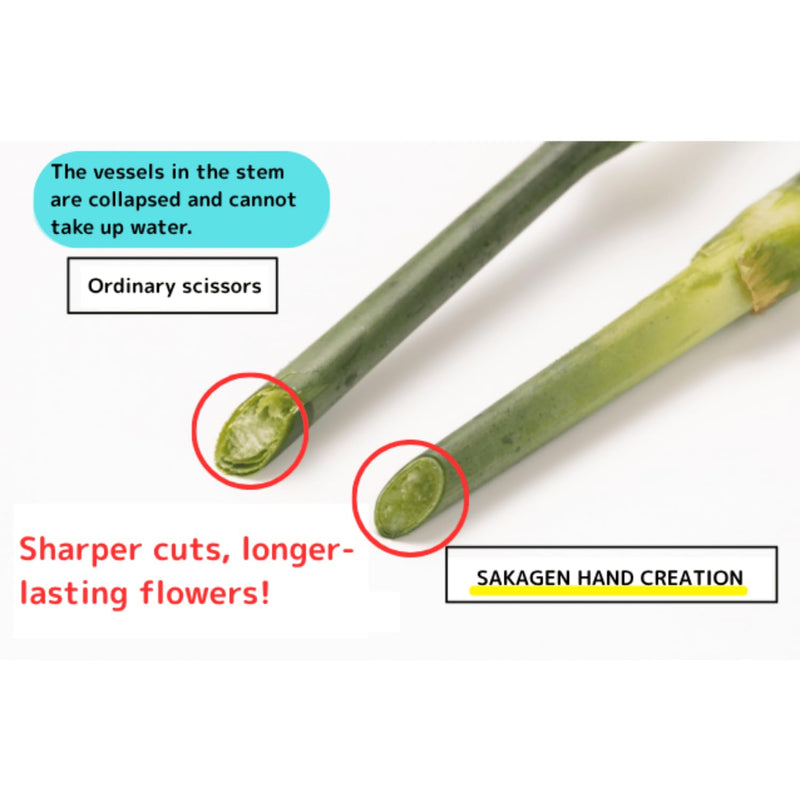 Japanese Hand Pruners Black Blade - Sakagen Hand Creation, Premium Fluorine-Coated Anti-Wear Pruning Shears for Flowers & Gardening, Made in Japan, P-180 (Moss Green) Moss Green