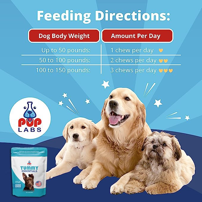 Tummy Essentials Probiotics for Dogs - Eliminate Digestive Dysfunction - Supports Gut Health - Dog Probiotics Support a Happy and Active Life - Made for All Dogs and in The USA, 30 Chews Bag - PawsPlanet Australia
