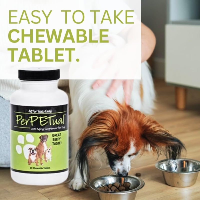 Youngevity Perpetual™ - Maximum Strength Anti-Aging Dog Bone & Joint Support - with Glucosamine, Choline, MSM, Milk Thistle, Calcium, Turmeric & More - 60 Chewable Tablets - PawsPlanet Australia