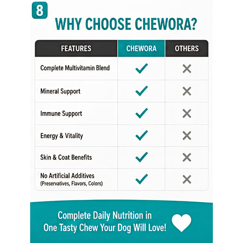 Multivitamin & Mineral Dog Chews – 60 Soft Chews, 6.3 oz – Natural Beef Flavor, Supports Immune, Skin, Coat, Heart & Overall Health