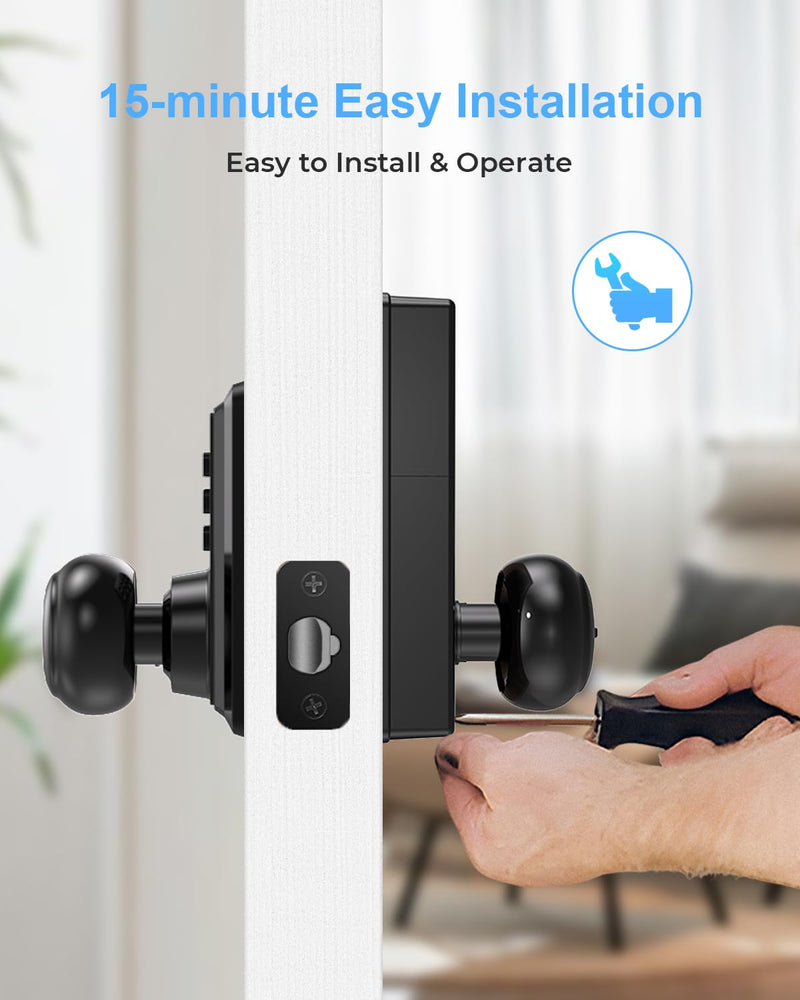 Keyless Entry Door Lock-Keypad Door Lock with Handle-Door Knob with Keypad-Electronic Digital Smart Locks-Auto Lock-Easy Installation-Matte Black Matte Black