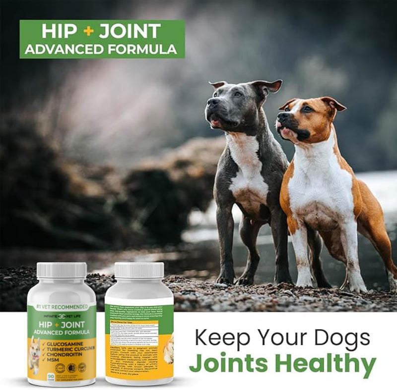 Infinite Pet Supplements Advanced Hip and Joint Supplement for Dogs Large Breed - Glucosamine for Dogs Mobility & Pain Relief - Chondroitin, MSM & Turmeric | Bundle Pack(Chewable Tablets + Powder)