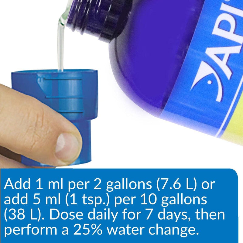 API TURTLE FIX Turtle Remedy 8-Ounce Bottle 8 Ounce