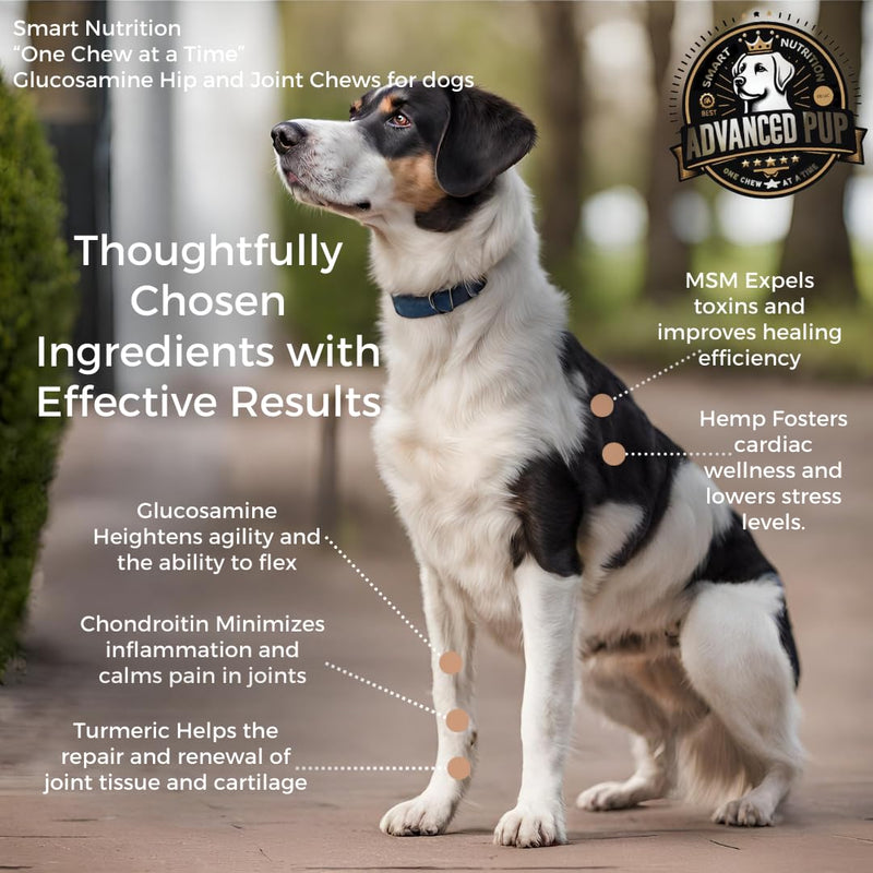 AdvancedPUP Dog Hip and Joint Supplement - Glucosamine for Dogs - Dog Hip & Joint Care with Chondroitin, MSM, & Turmeric for Dog Joint Relief - Regain Dog Mobility with Natural Tasty Bacon - 90 CT - PawsPlanet Australia
