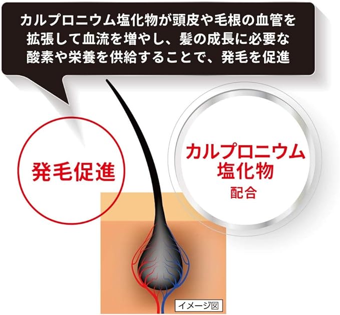 NF Kaloyan Gash 240mL - NewNest Australia
