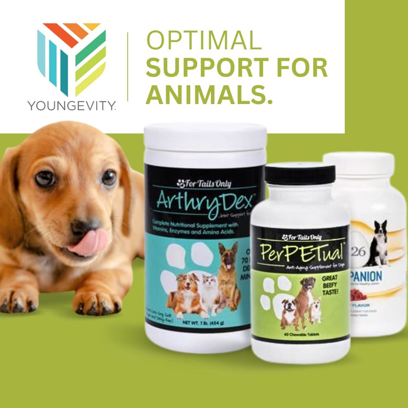 Youngevity Perpetual™ - Maximum Strength Anti-Aging Dog Bone & Joint Support - with Glucosamine, Choline, MSM, Milk Thistle, Calcium, Turmeric & More - 60 Chewable Tablets - PawsPlanet Australia