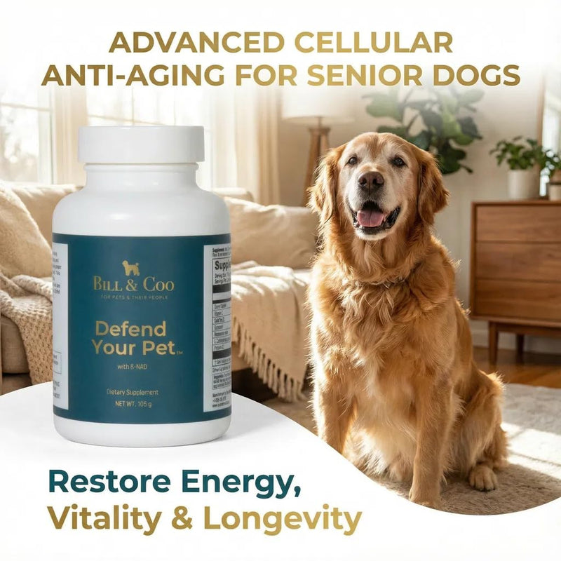 BILL & COO Defend Your Pet ß-NAD Supplement for Senior Dogs – Advanced Cellular Anti-Aging with Vitamins C, D, K2, Probiotics & Digestive Enzymes for Immune Support, Longevity & DNA Integrity – 105g