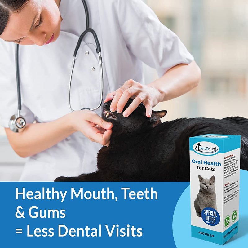 BestLife4Pets Oral Health for Cats and Dental Care Supplement – All Natural Anti-inflammatory Pain Relief for Stomatitis Gingivitis and Gum Disease - Easy to Use 1-Pack - PawsPlanet Australia