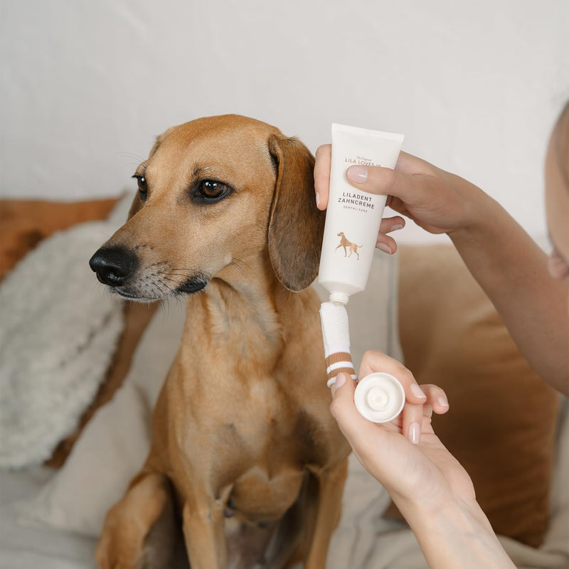 Toothpaste for Dogs - Natural Tooth Cleaning with Coconut Oil, Turmeric & Papaya Extract, Gentle & Effective, for Plaque, Tartar & Bad Breath, LILADENT Dental-Care Mineral by LILA LOVES IT, 75 ml